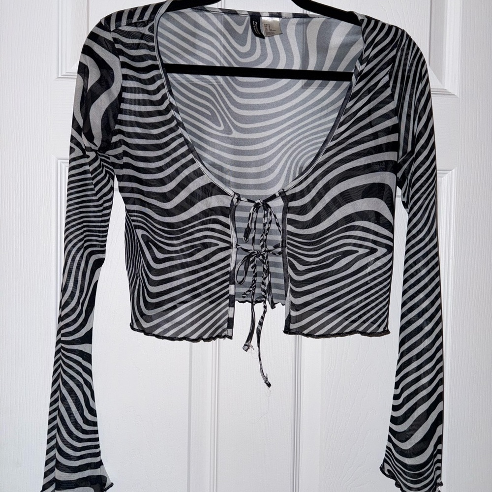 H&M Sheer Long Sleeve Top